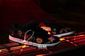 NIKE SB MONSTER