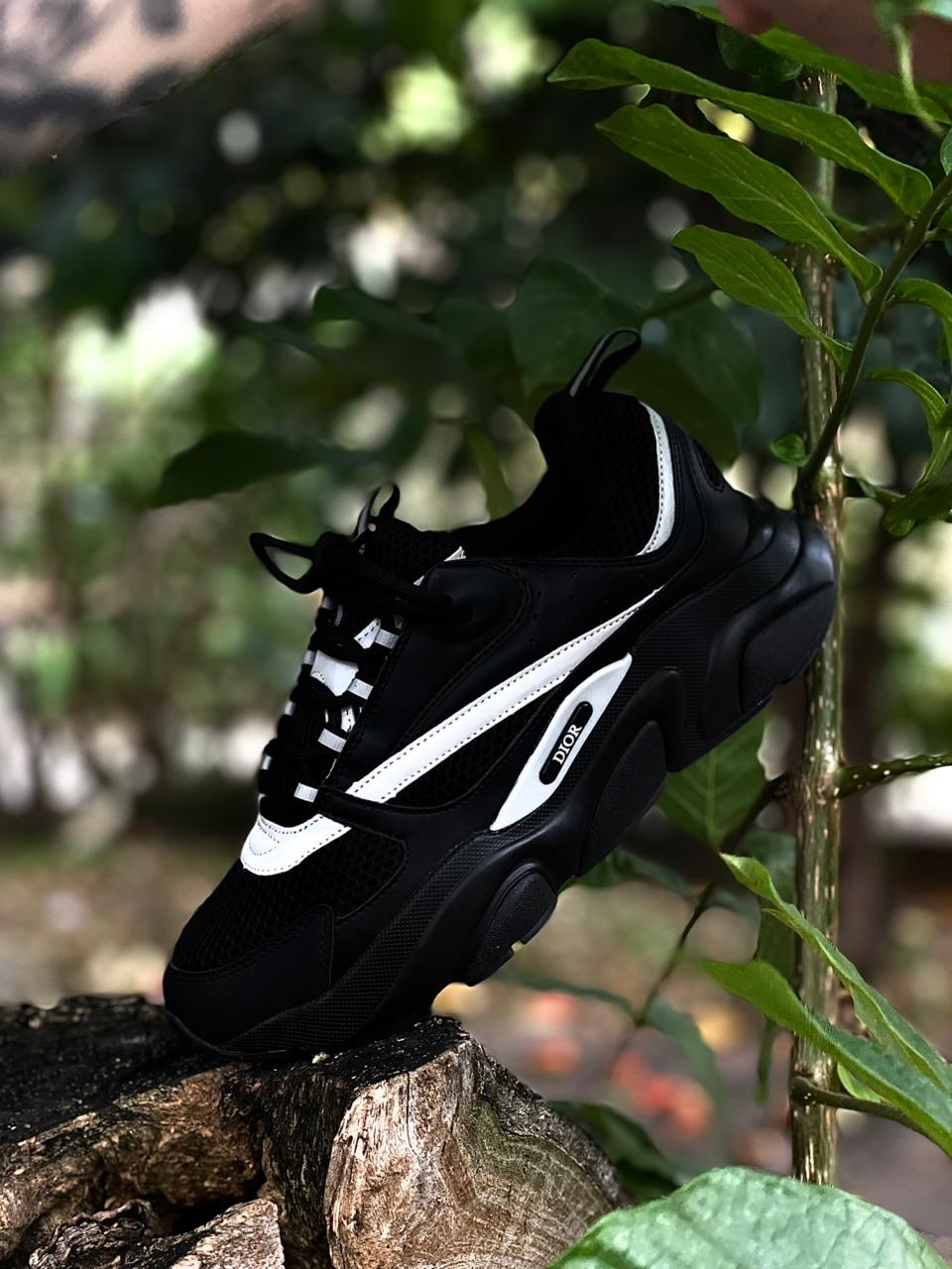 DIOR B30
