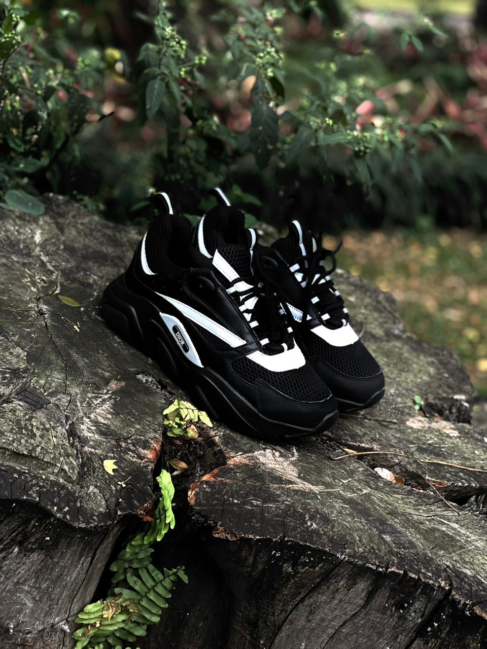 DIOR B30