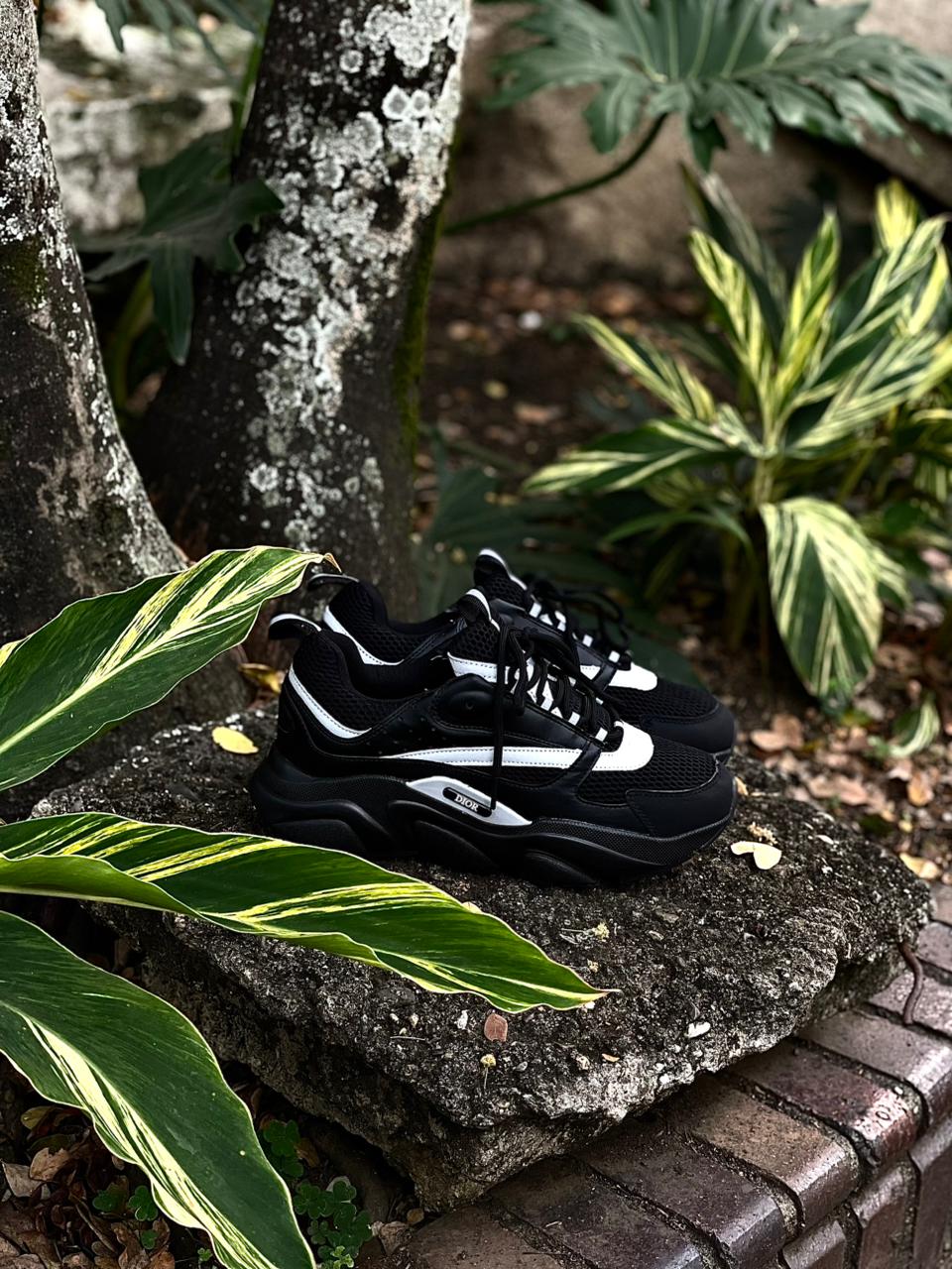 DIOR B30