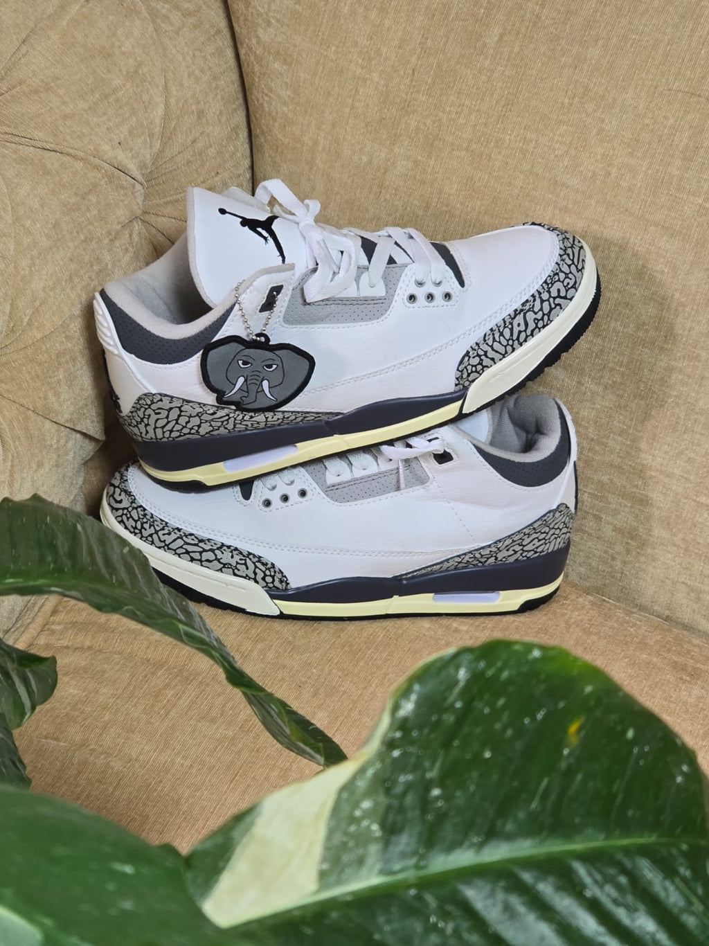 JORDAN R3 ELEFANTE