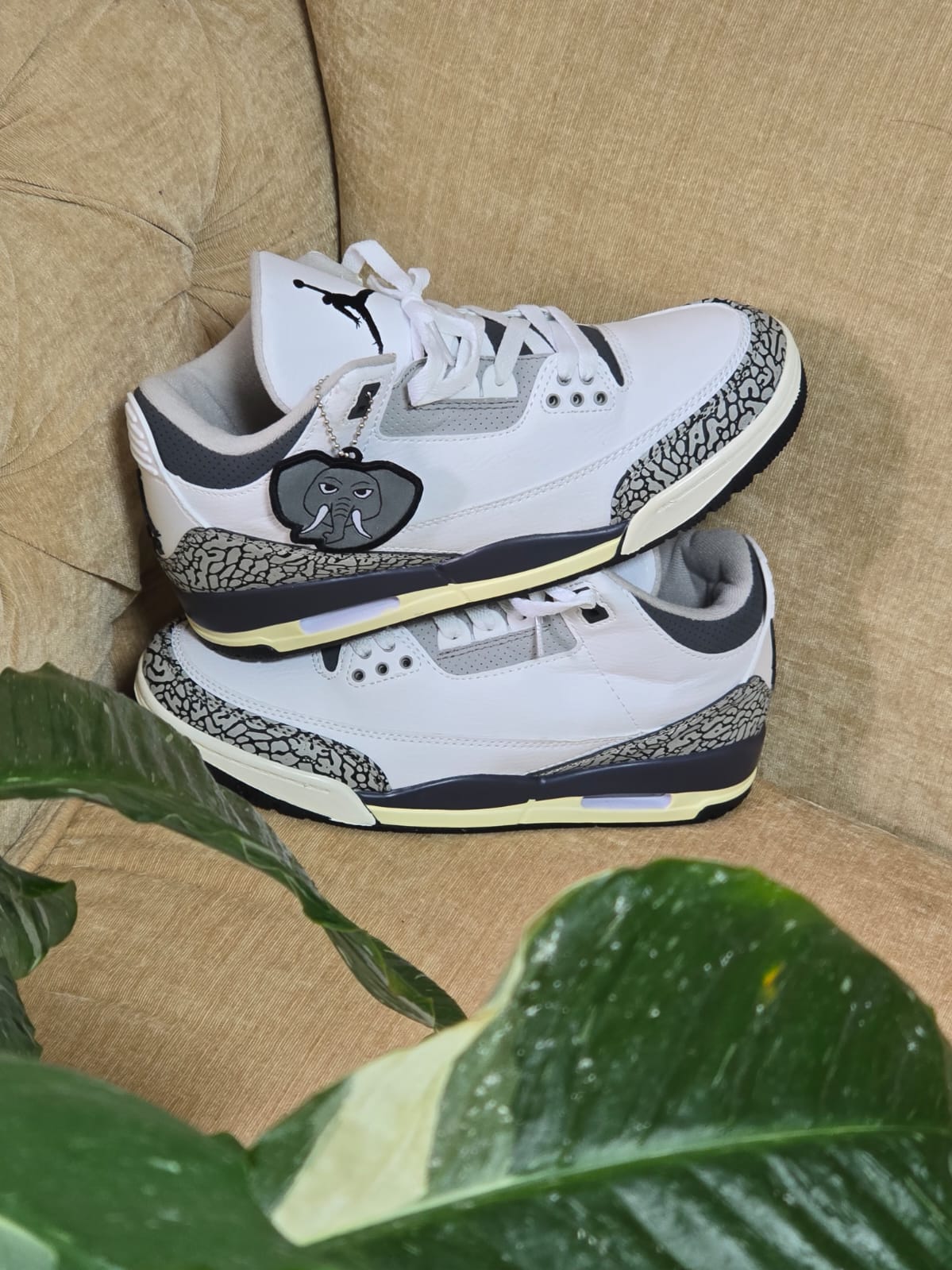 JORDAN R3 ELEFANTE